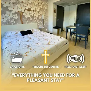 Appartement Reve Dore Equipe, Wifi, Unique, Lourdes